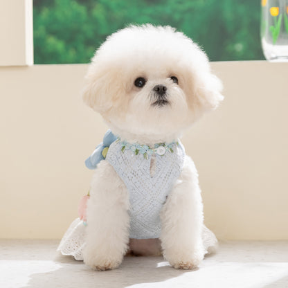HipiDogs Floral Lace Princess Dress for Dogs & Cats