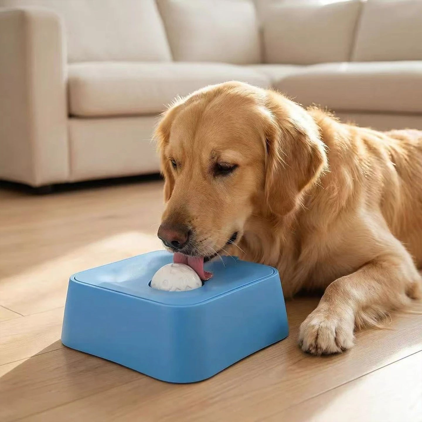 Interactive Dog Lick Mat Bowl for Treats & Slow Feeding