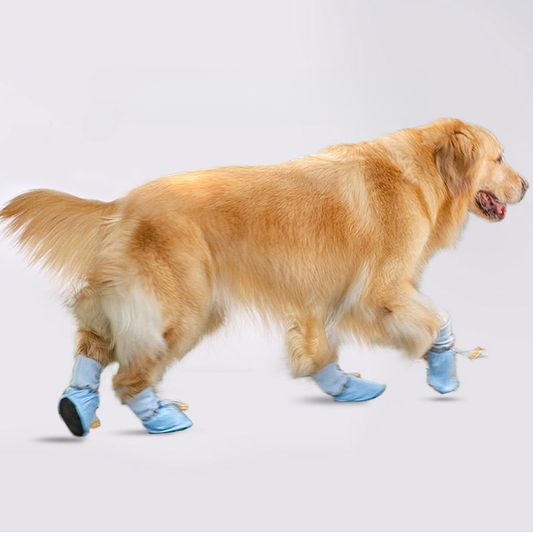 Waterproof Dog Boots Set | Anti-Slip Dog Shoes for Rain, Snow & Outdoor Walking | HipiDogs Pet Paw Protector