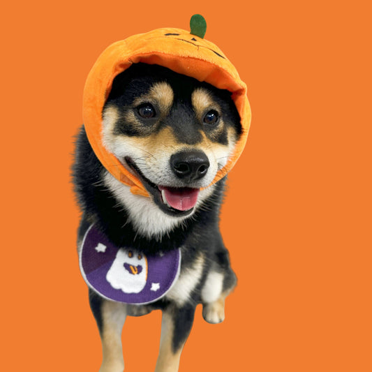 Pumpkin Hood Halloween Pet Costume with Reversible Bib – Dog & Cat Jack-O’-Lantern Hat
