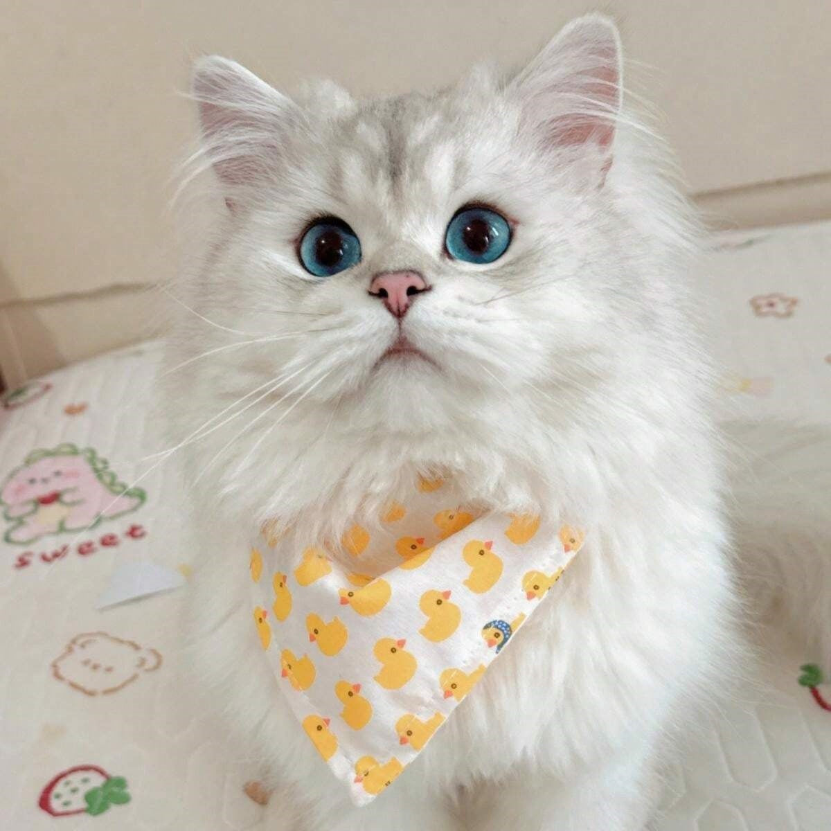 Cute Duck Print Cat Bib – Soft Absorbent Drool Bandana for Cats