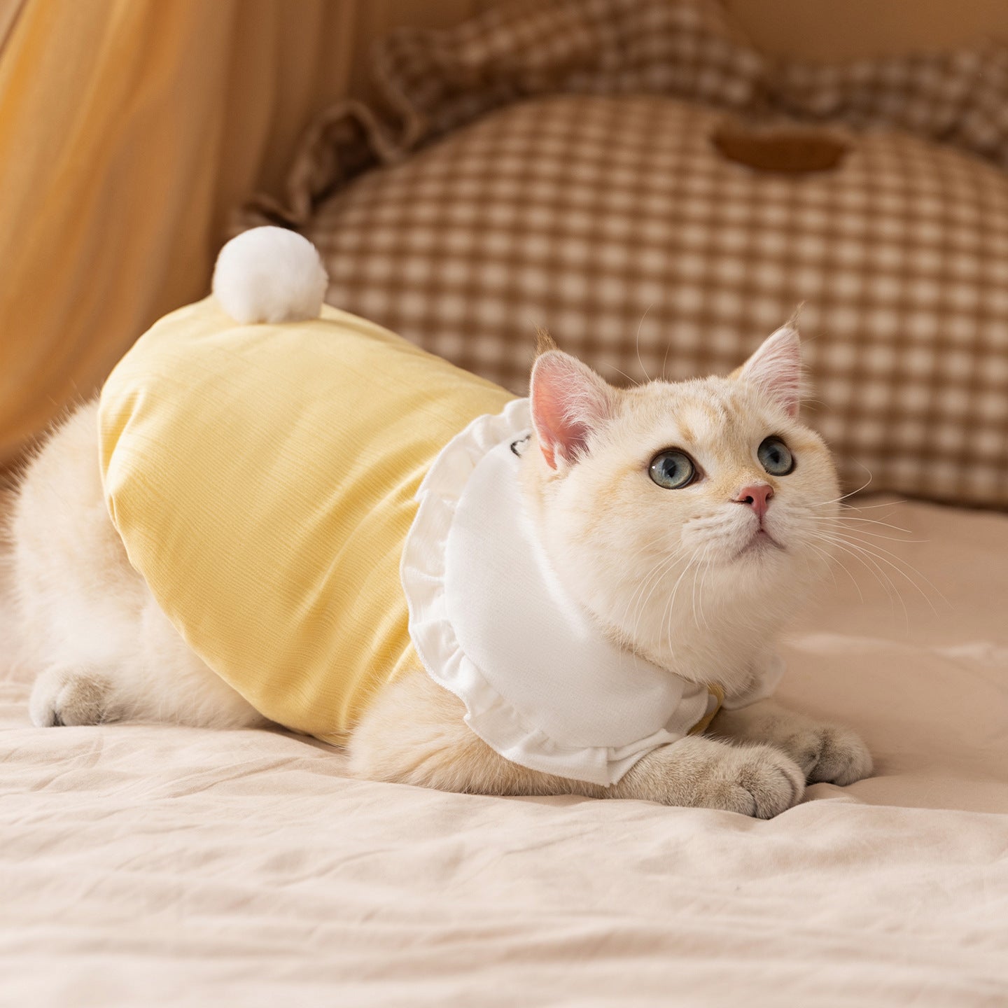 Cute Bunny Cat Sweater | Soft Warm Pet Clothes for Cats & Small Dogs | Winter Rabbit Tail Cat Outfit | HipiDogs
