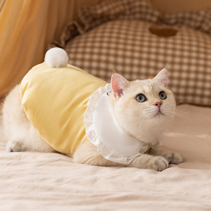 Cute Bunny Cat Sweater | Soft Warm Pet Clothes for Cats & Small Dogs | Winter Rabbit Tail Cat Outfit | HipiDogs