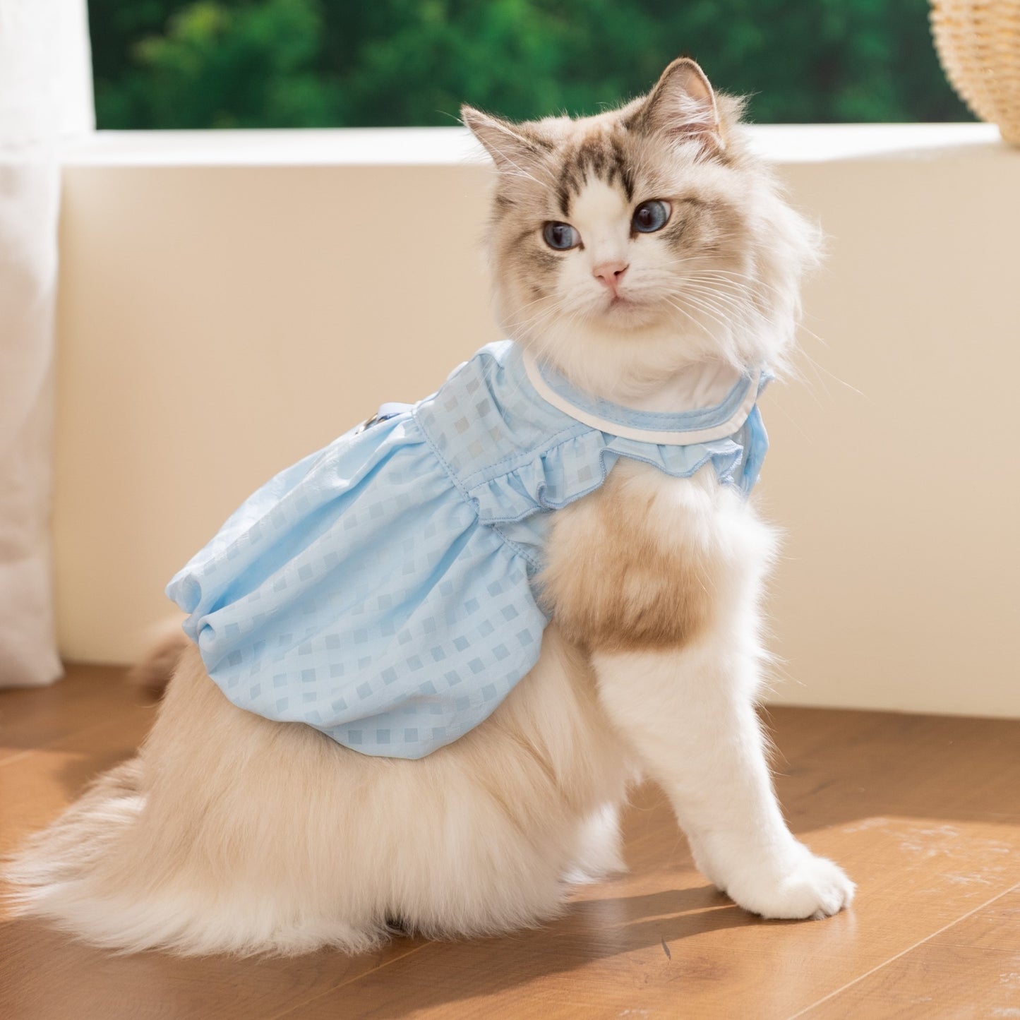 Cute Duck Cat Dress – Soft Summer Outfit