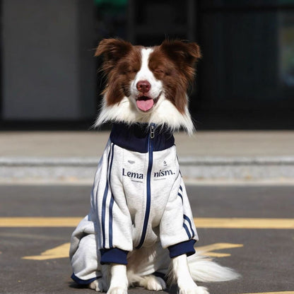 Warm Dog Jacket with Zipper – Sport Style Dog Coat for Medium Large Dogs Winter Pet Clothes