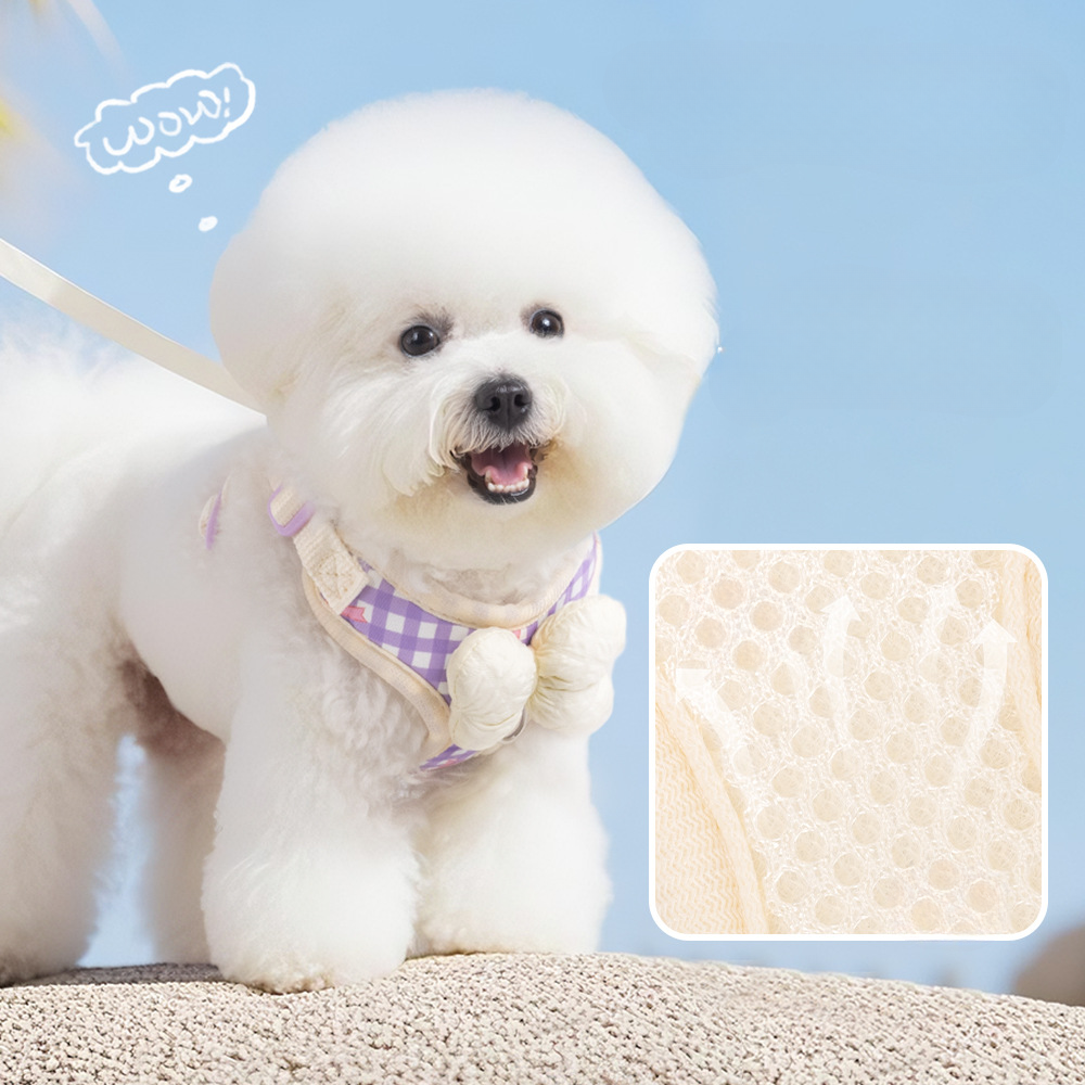 Cute Bow Dog Harness and Leash Set – Adjustable Soft Vest Harness for Small Dogs, Breathable No Pull Puppy Harness