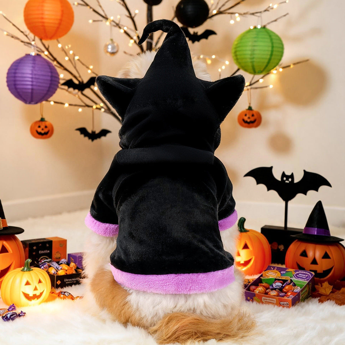 Halloween Black Cat Dog Costume – Witch Hat Hoodie for Small Dogs & Cats