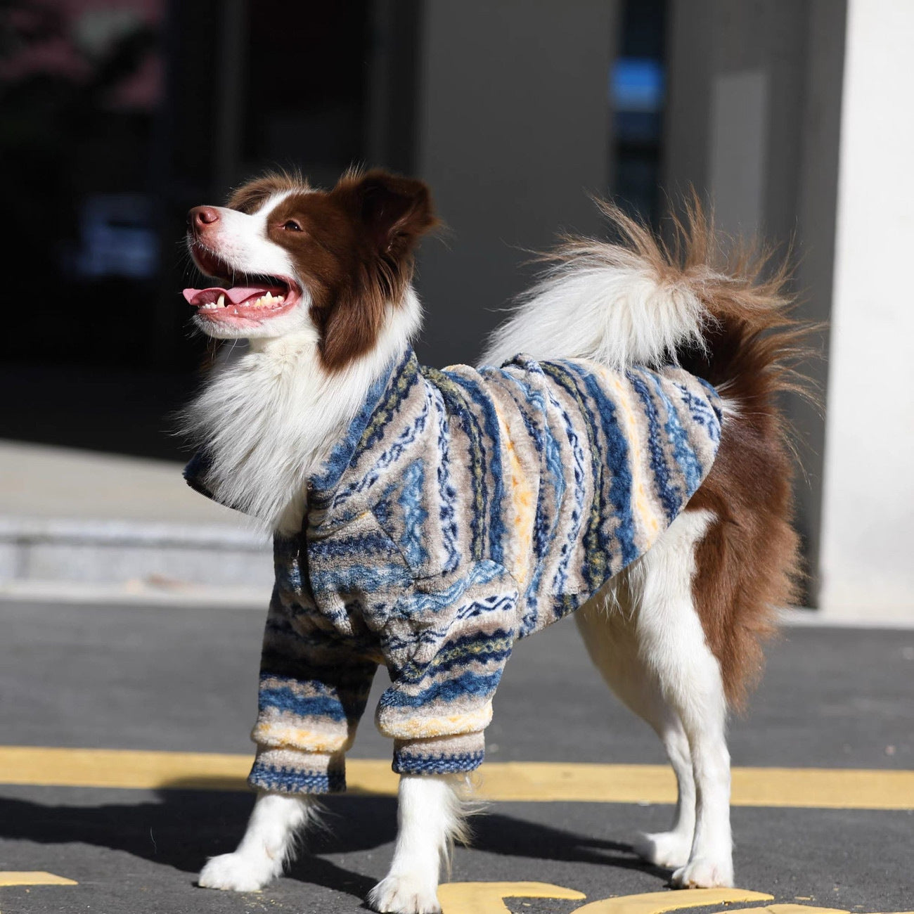 Warm Dog Fleece Jacket – Outdoor Winter Dog Coat with Zipper for Medium & Large Dogs