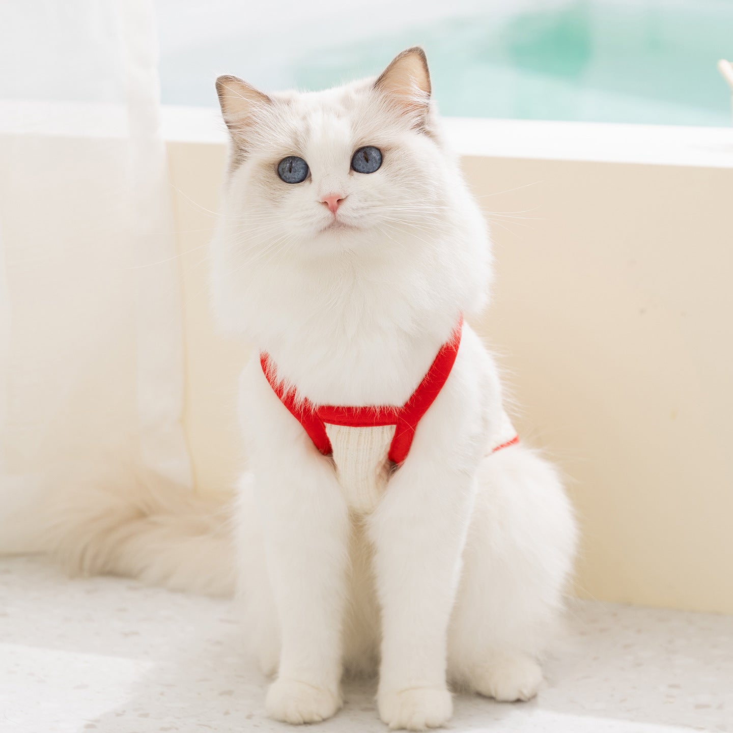 Cute Cat Harness Vest – Soft Breathable Adjustable Fit
