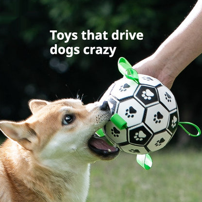 Colorful Rattle Ball Toy for Dogs