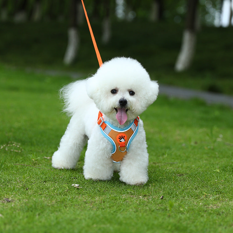 Breathable Mesh Dog Harness – Lightweight Adjustable Vest for Small Dogs