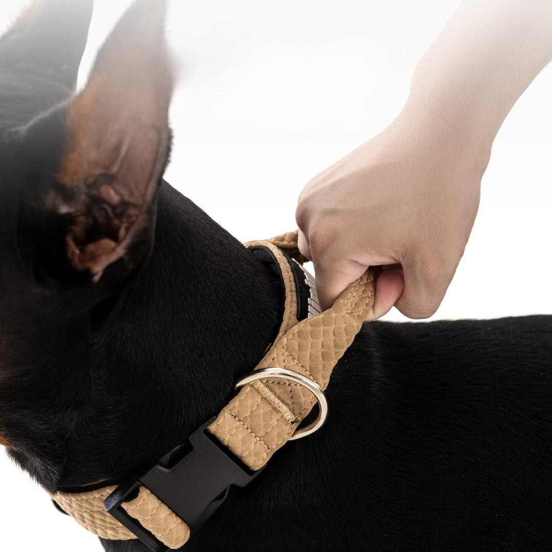Durable Dog Collar with Adjustable Fit | Comfortable & Stylish Dog Collar by Hipidogs  in Beige & Gray