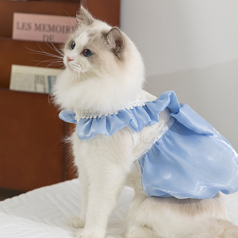Princess Cat Dress with Bow – Elegant Lace Party Outfit