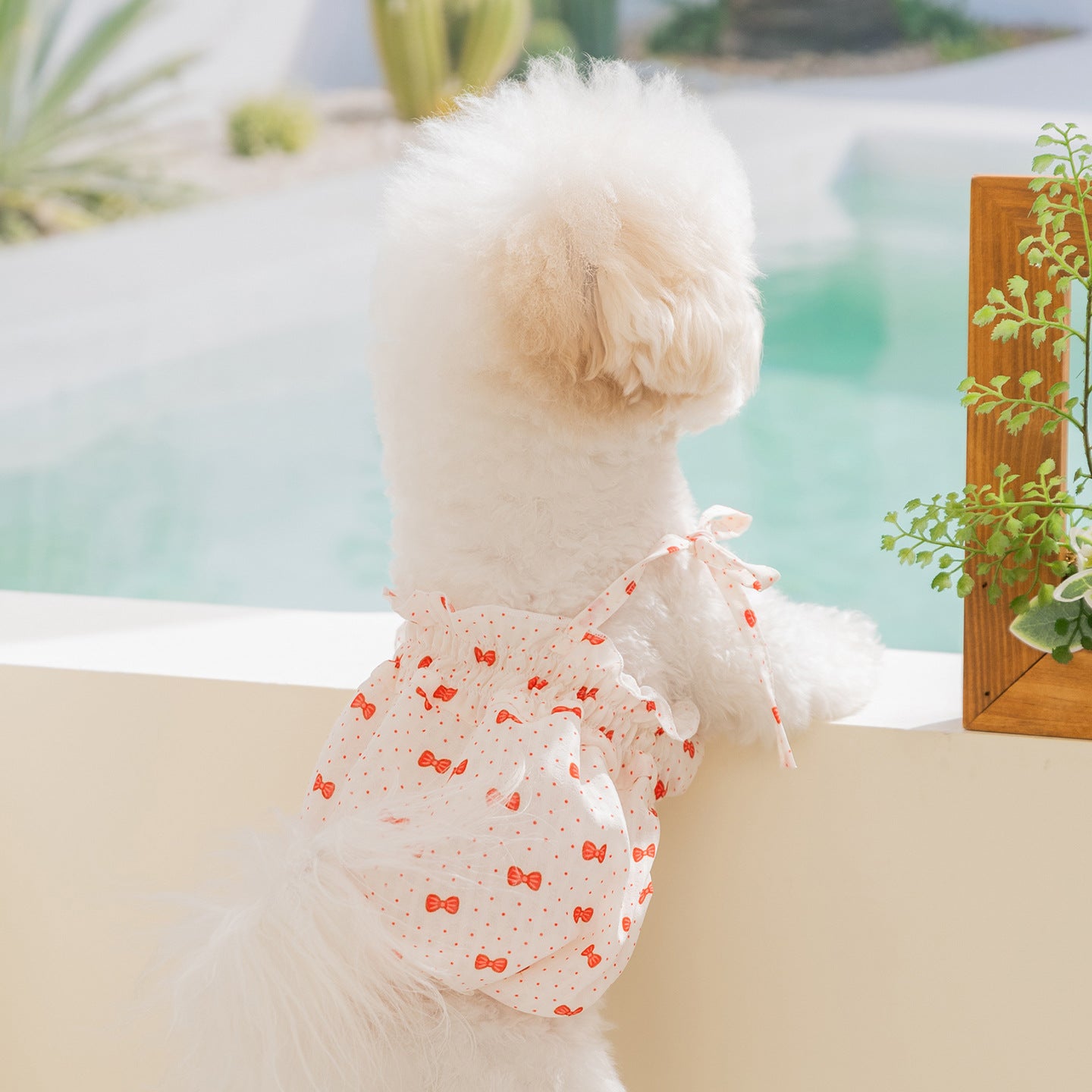 HipiDogs Sweet Bow Bubble Dress for Dogs & Cats