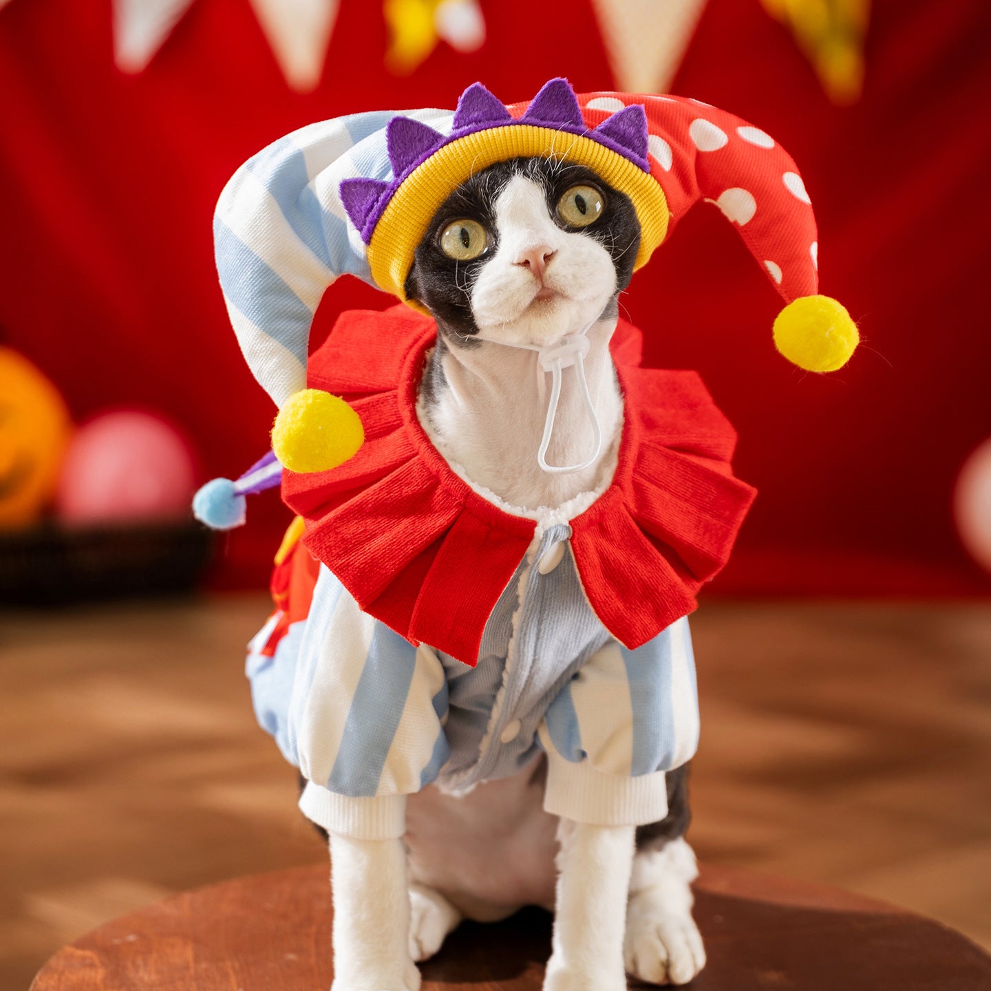 Joker's Costume for Cats Funny Pet Hoodie with Colorful Design