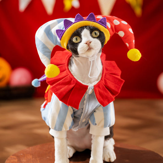 Joker's Costume for Cats Funny Pet Hoodie with Colorful Design