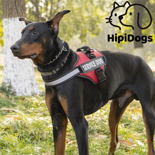 Service Dog Harness Vest – Adjustable No Pull Tactical Dog Harness with Reflective Straps for Large Dogs