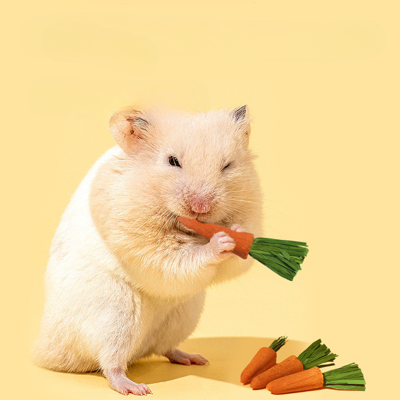Pet Chew Carrot Stick Toy for Hamsters & Small Pets – Natural Teeth Grinding & Boredom Relief