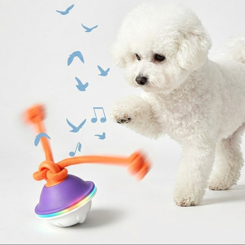 Interactive Dog Tug Toy with Rope & Treat Dispenser