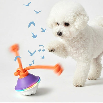 Interactive Dog Tug Toy with Rope & Treat Dispenser