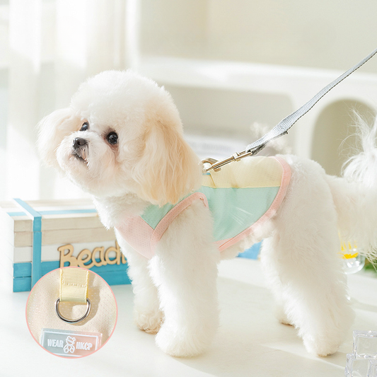 Colorful Dog Harness Vest – Breathable Mesh Summer Fit