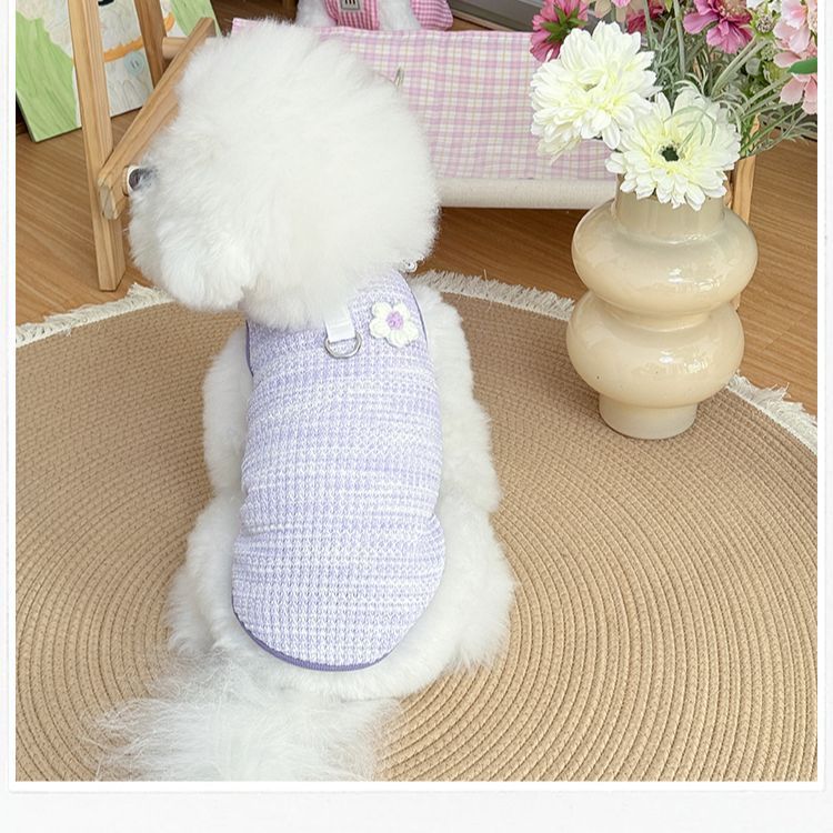Lace Collar Pet Harness Vest – Breathable Floral Summer Fit