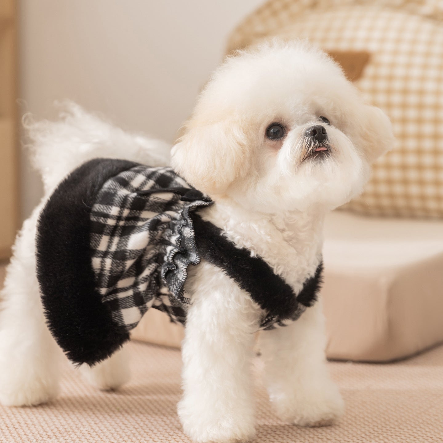 Cute Plaid Cotton Dress Set for Small Dogs