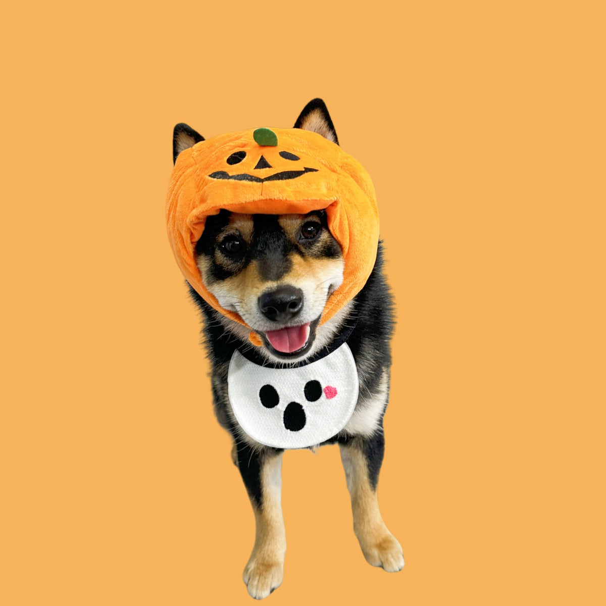 Pumpkin Hood Halloween Pet Costume with Reversible Bib – Dog & Cat Jack-O’-Lantern Hat