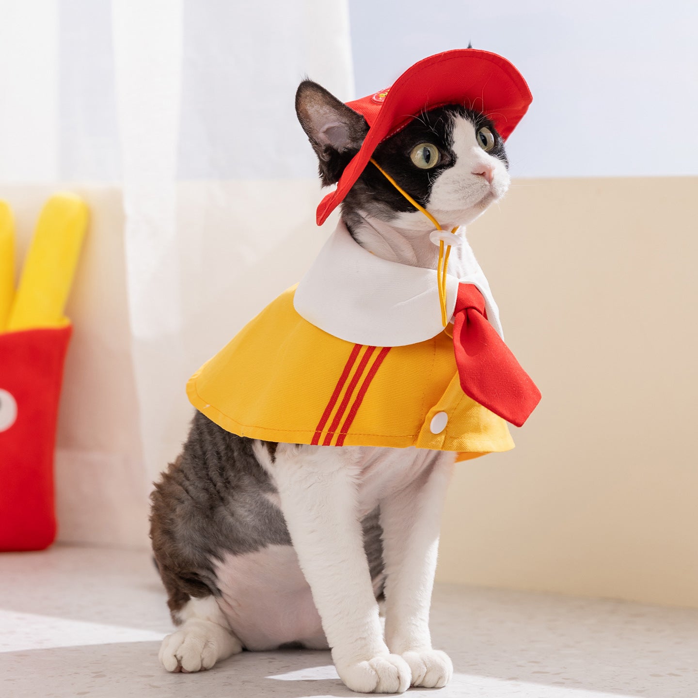 HipiDogs School Style Pet Outfit with Matching Hat