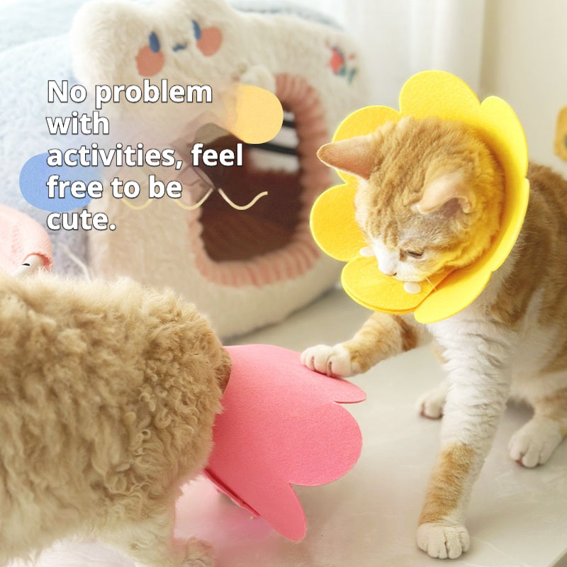 Comfortable and Stylish Flower Cat Collar – Soft, Skin-Friendly, Non-Restrictive Design