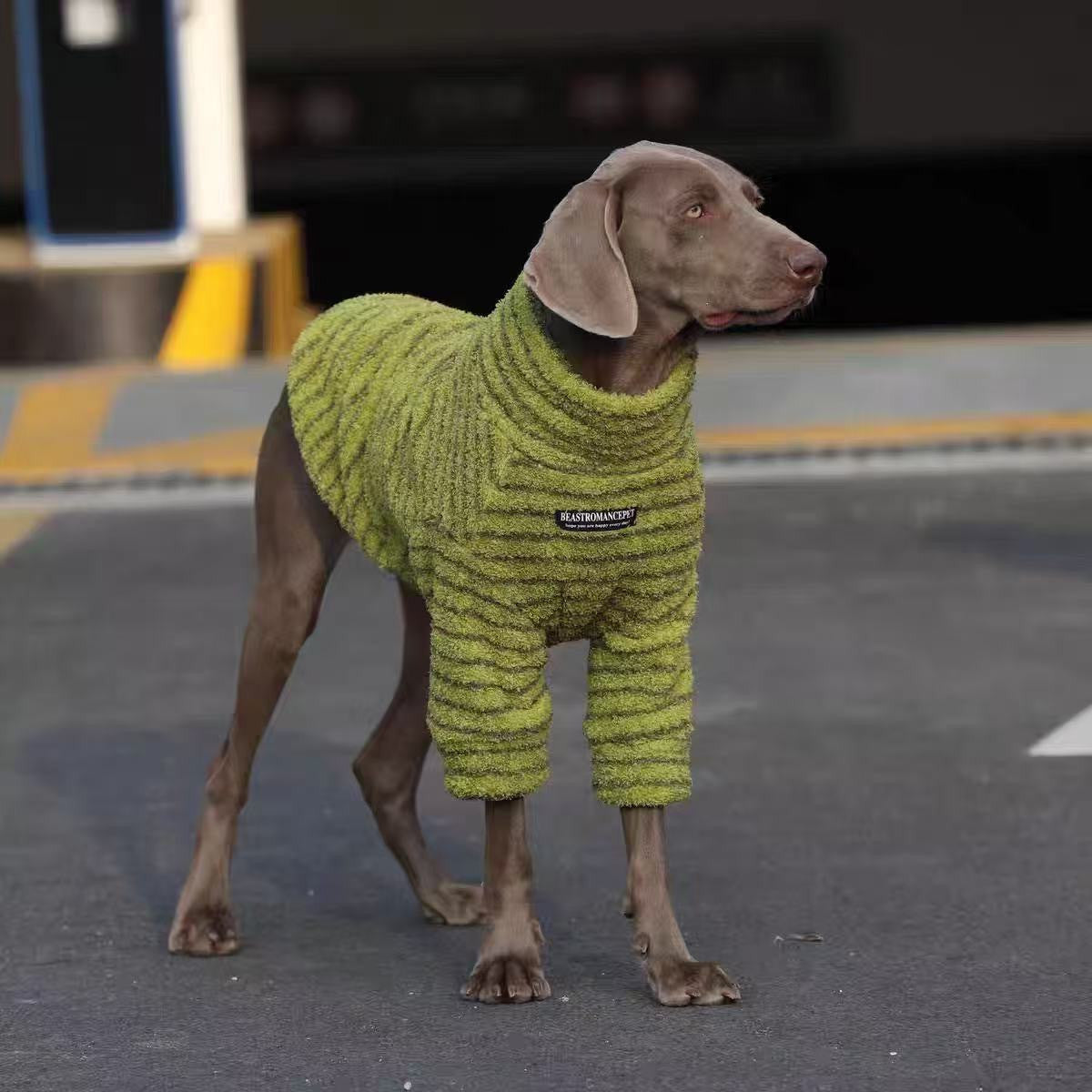 Warm Dog Turtleneck Sweater – Soft Winter Dog Sweater for Medium Large Dogs Cold Weather Clothes