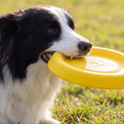 Durable Flying Disc Dog Toy for Outdoor Fetch & Training