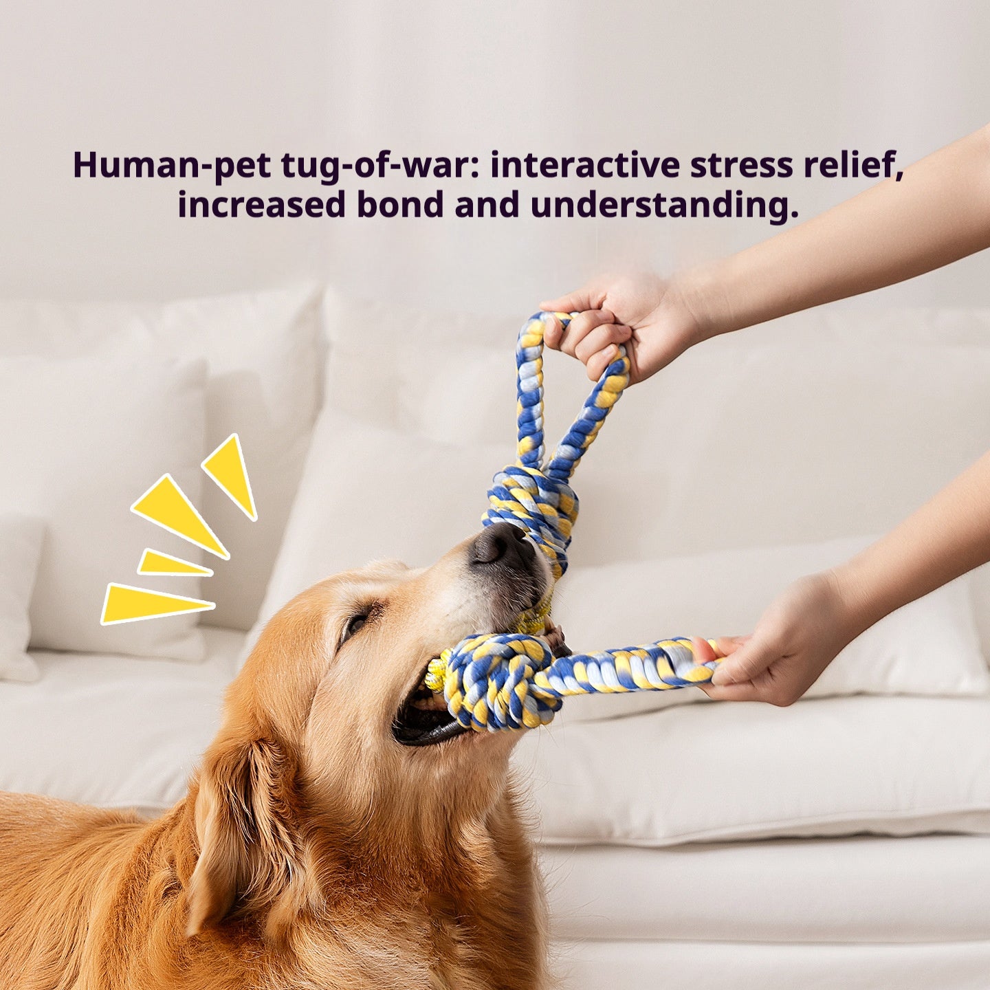 Durable Dog Rope Toy for Tugging and Pulling