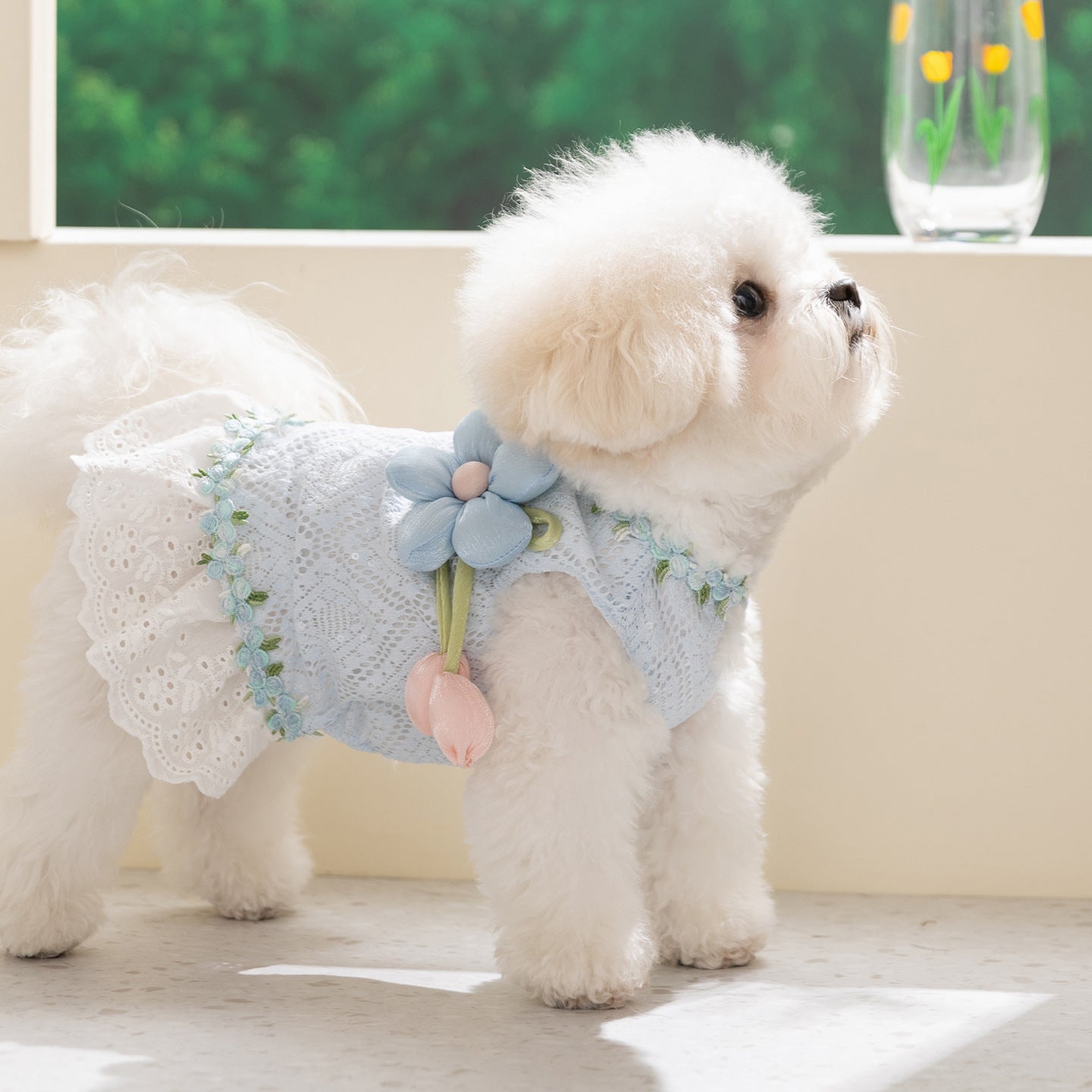 HipiDogs Floral Lace Princess Dress for Dogs & Cats