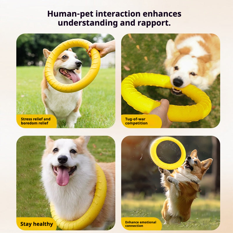 Super Bite-Resistant Dog Training Pull Ring