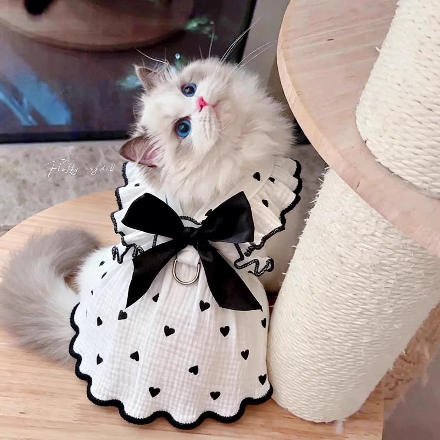 Black Bow Cat Dress – Elegant Heart Print Princess Outfit