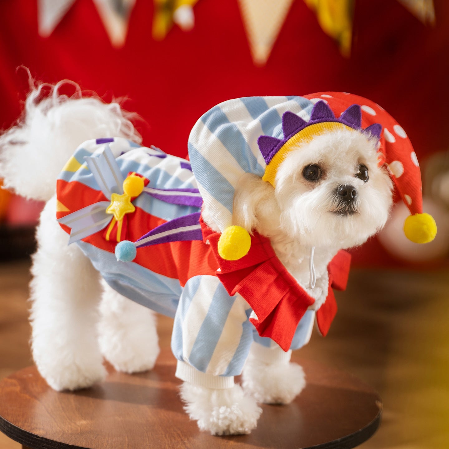 Clown with Hat Transformation Costume for Small Dogs