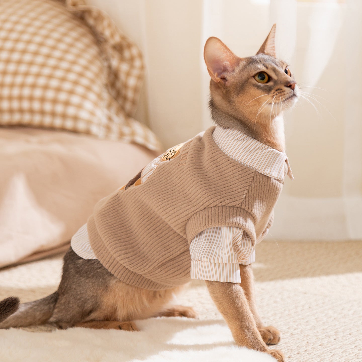 Teddy Bear Embroidered Cat Sweater | Ribbed Dress for Cats