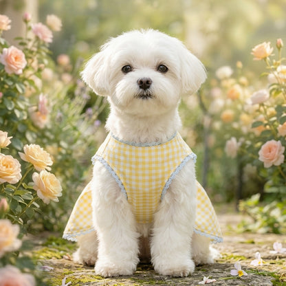 HipiDogs Gingham Pet Dress | Sweet Lace Summer Dress for Small Dogs & Cats