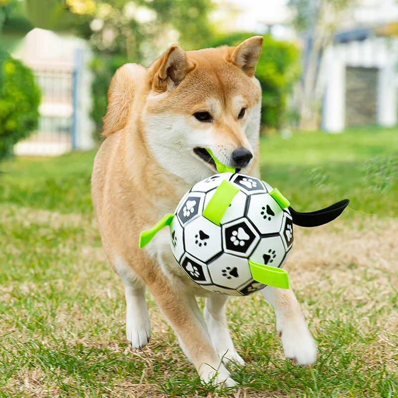 Colorful Rattle Ball Toy for Dogs