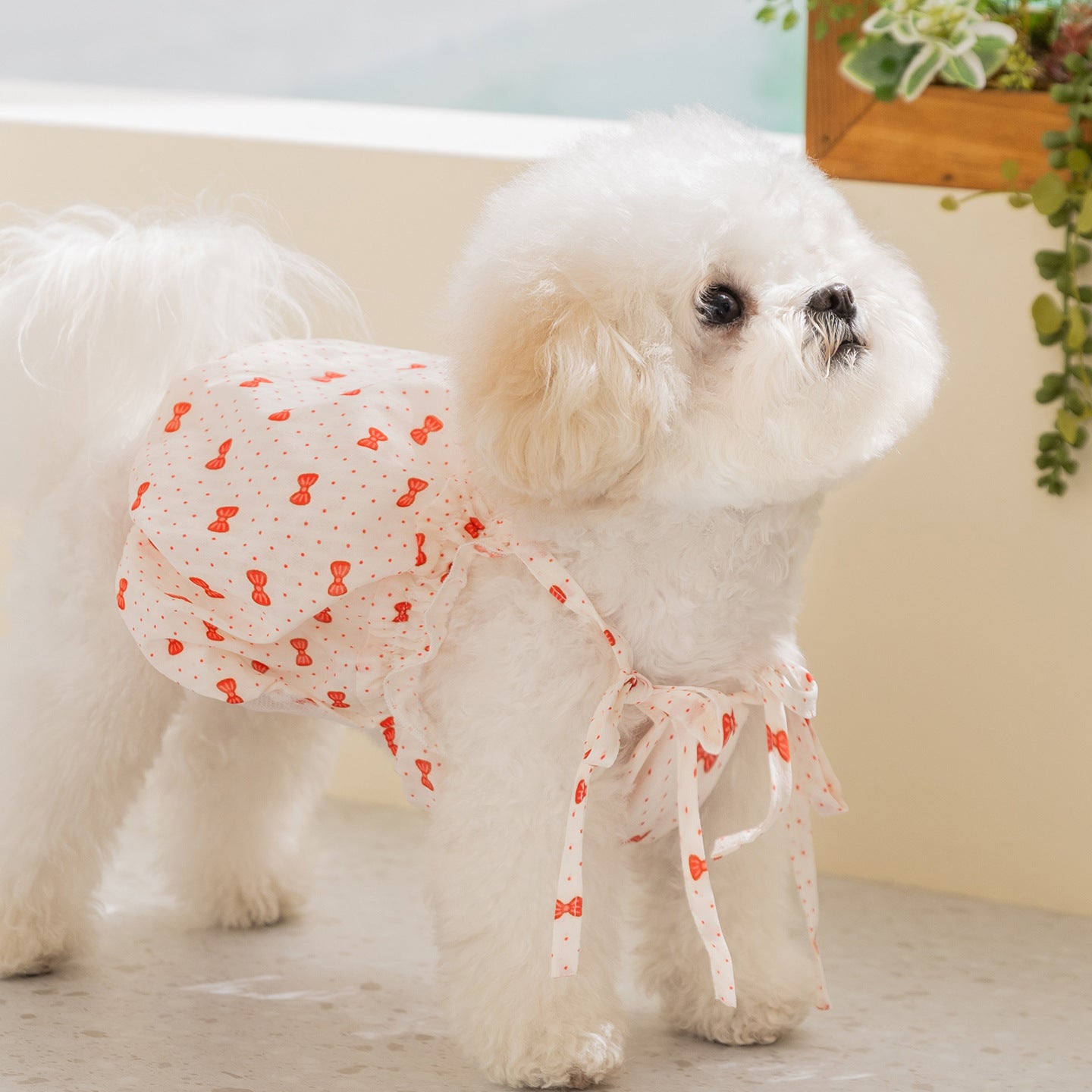 HipiDogs Sweet Bow Bubble Dress for Dogs & Cats
