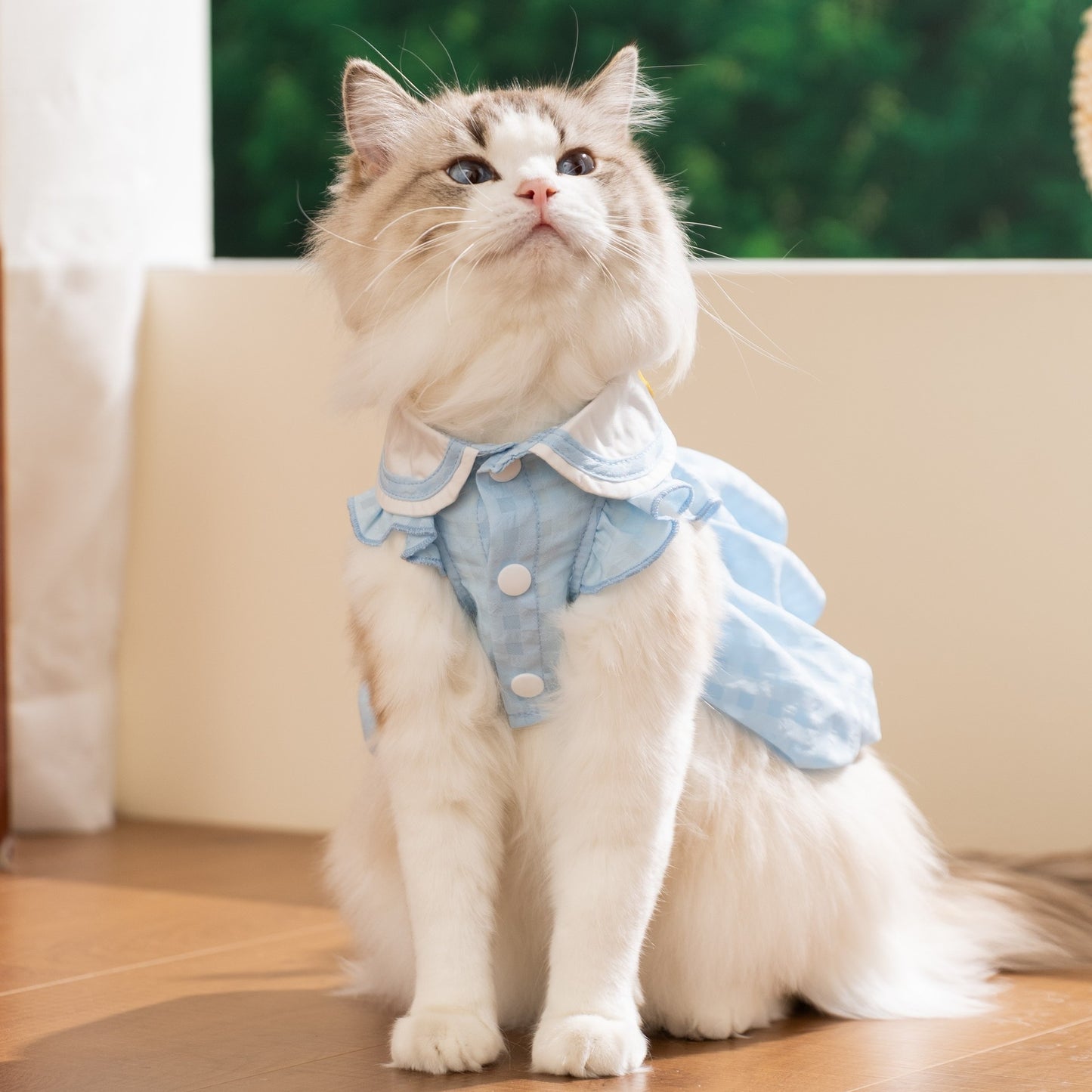 Cute Duck Cat Dress – Soft Summer Outfit