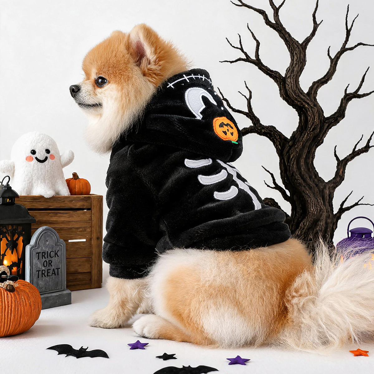 Halloween Dog Costume – Black Skeleton Hoodie with Pumpkin Hood for Small Dogs