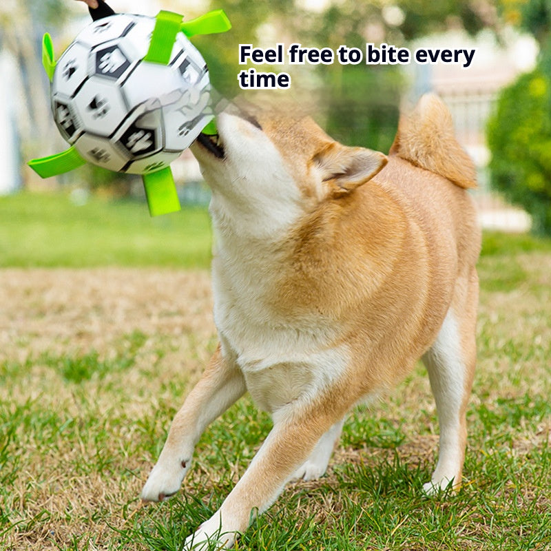 Colorful Rattle Ball Toy for Dogs