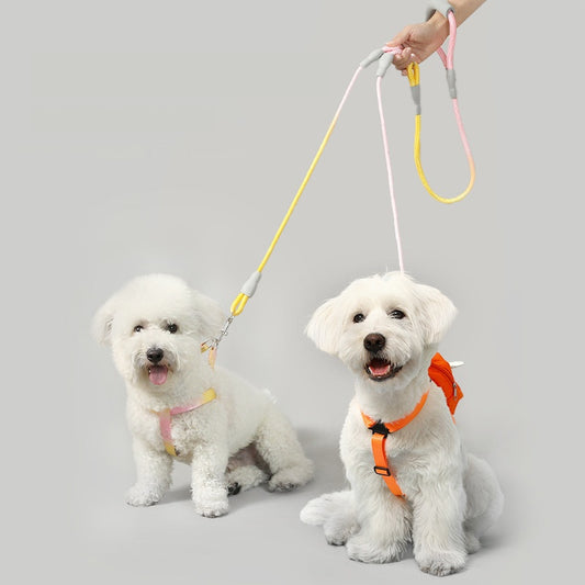Adjustable Integrated Dog Leash with Collar | Durable No-Pull Rope for Easy Walking