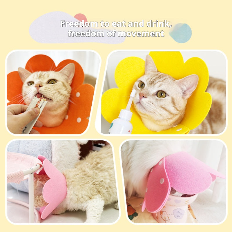Comfortable and Stylish Flower Cat Collar – Soft, Skin-Friendly, Non-Restrictive Design