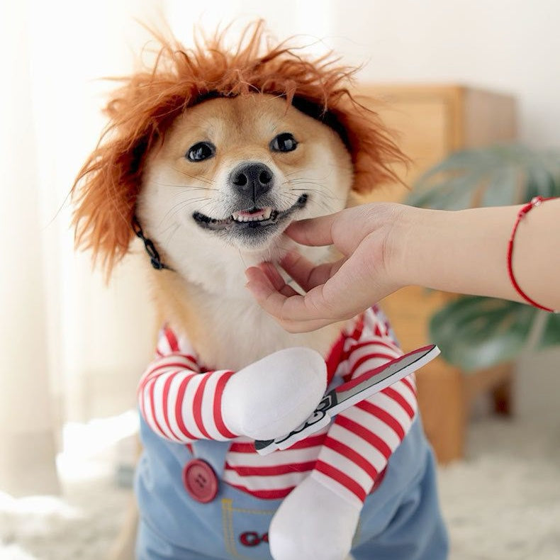 Killer Doll Dog Costume – Halloween Pet Costume with Red Striped Shirt, Overalls & Orange Wig