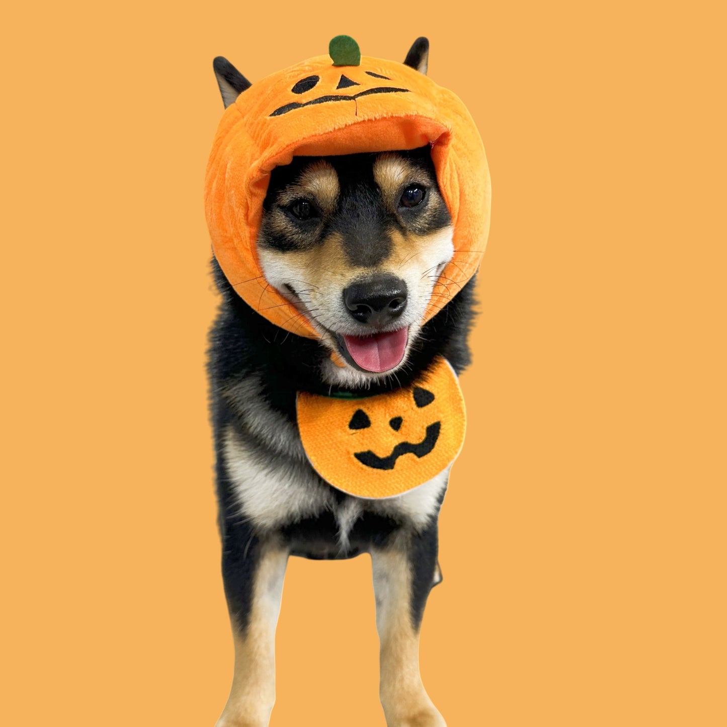 Pumpkin Hood Halloween Pet Costume with Reversible Bib – Dog & Cat Jack-O’-Lantern Hat