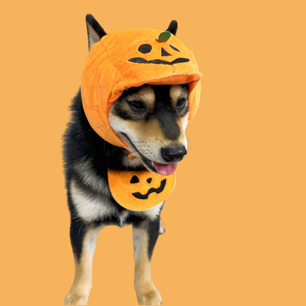Pumpkin Hood Halloween Pet Costume with Reversible Bib – Dog & Cat Jack-O’-Lantern Hat