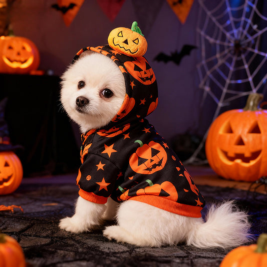 Halloween Pumpkin Dog Hoodie – Jack-O’-Lantern Pet Costume with 3D Pumpkin Hood